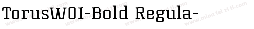 TorusW01-Bold Regula字体转换